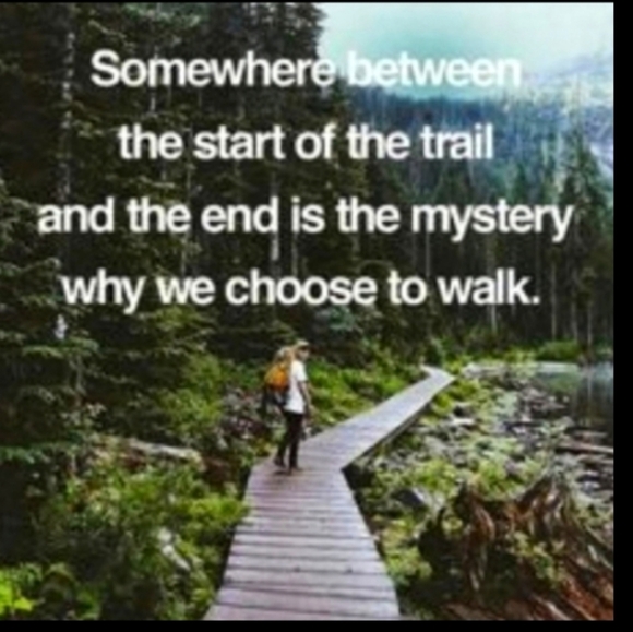 CREWNECK Sweater HUNTER GREEN 100% COTTON VNPLC Relativity Sz L - Picture 13 of 16